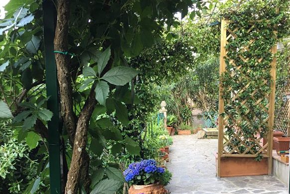 casa monella img (9)