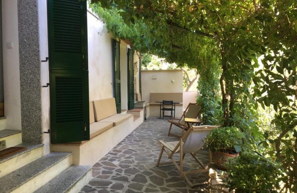 WhatsApp Image 2020-07-27 at 02.00.43 (2)
